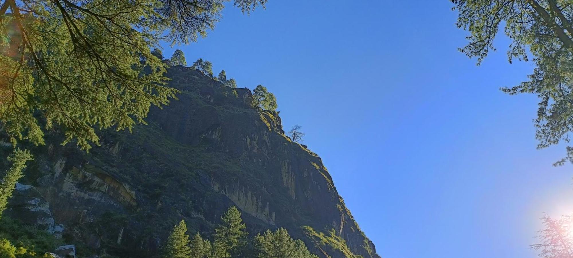 Dog N Hill Hotel Kasol Exterior photo