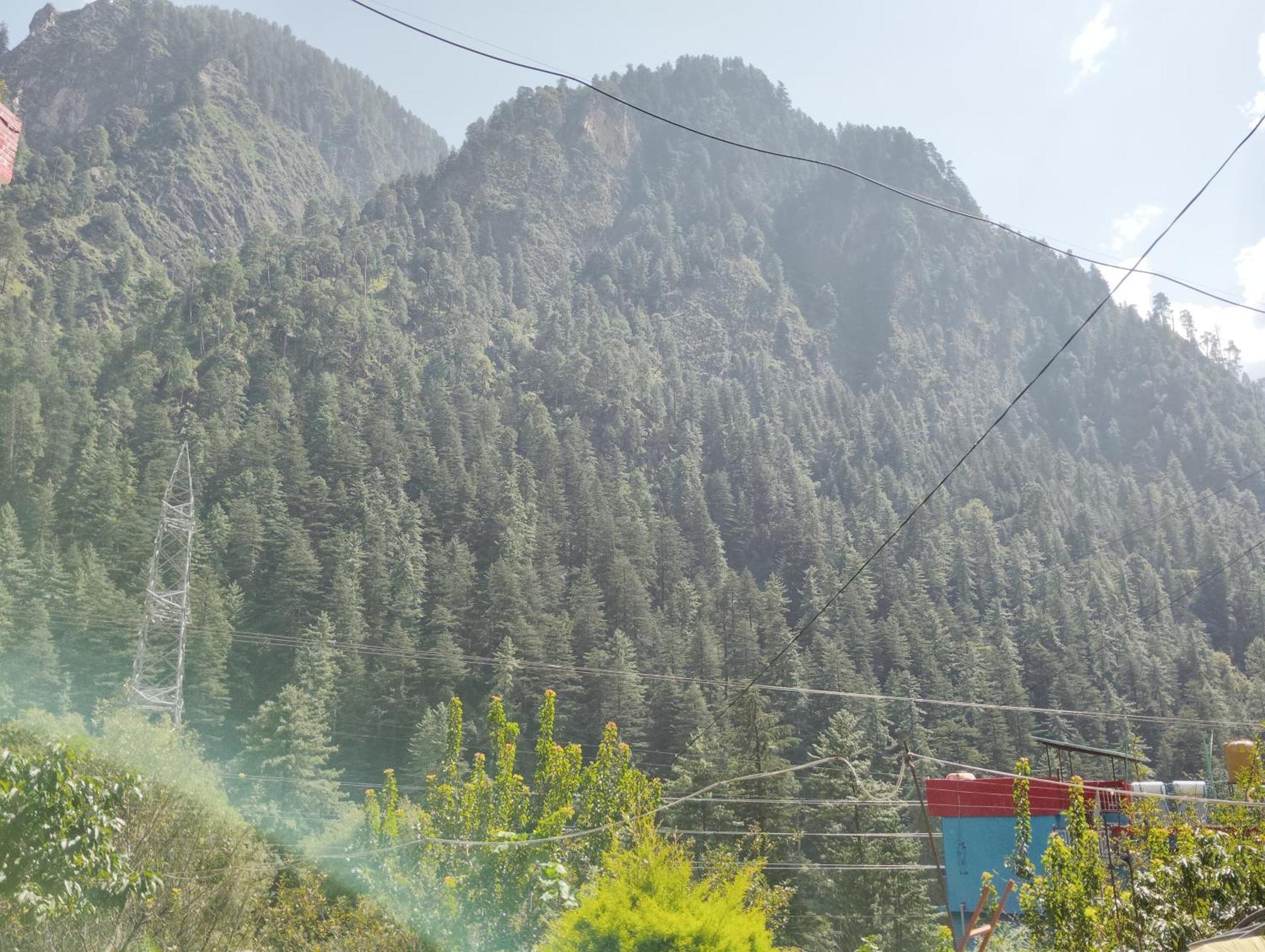 Dog N Hill Hotel Kasol Exterior photo
