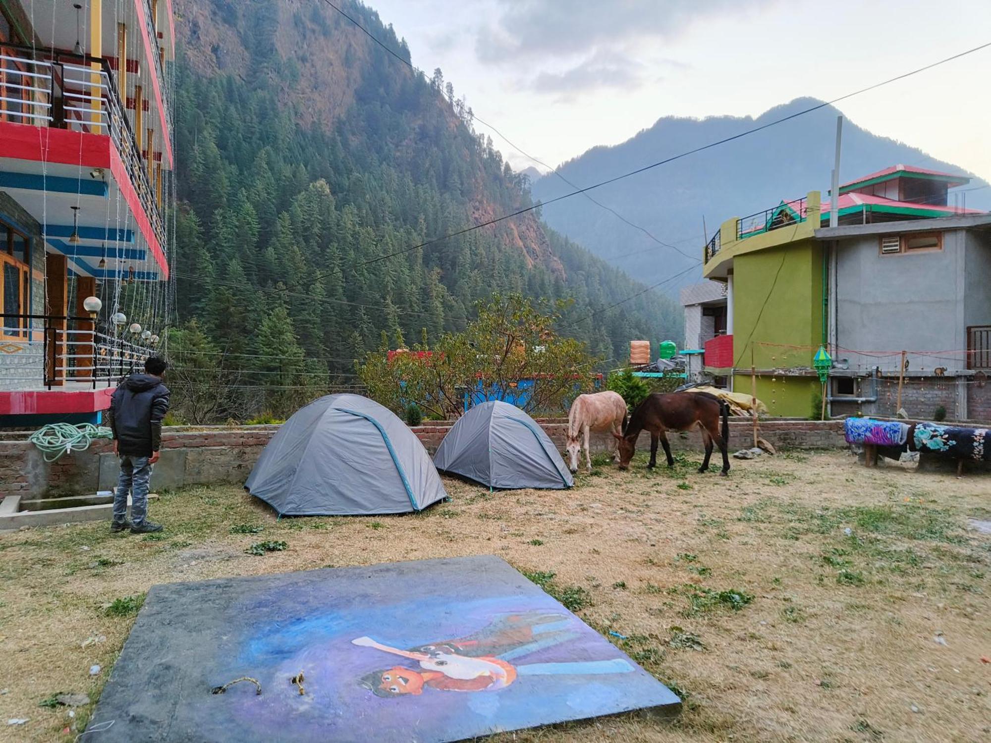 Dog N Hill Hotel Kasol Exterior photo